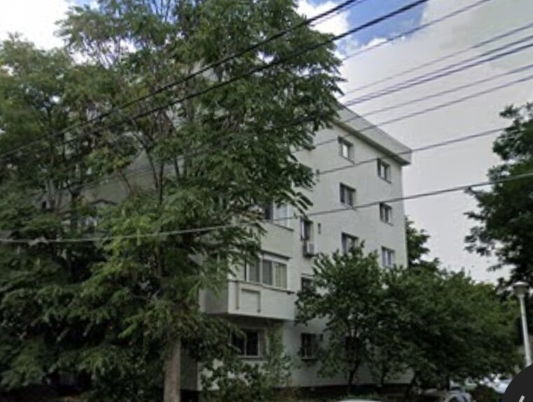 Doamna Ghica, Baicului vav Lidl